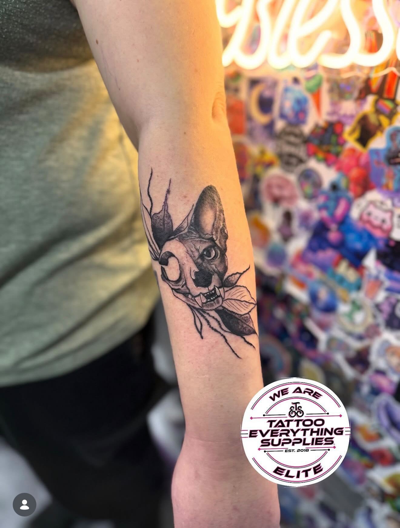 Sphynx cat skull tattoo on forearm